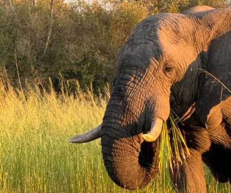 Botswana und Simbabwe