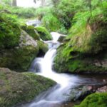 BayerischerWald2