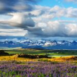 Iceland2